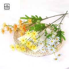 CÀNH HOA CÚC HỌA MI HÀ LAN