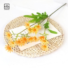 CÀNH HOA CÚC HỌA MI HÀ LAN