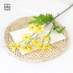 CÀNH HOA CÚC HỌA MI HÀ LAN