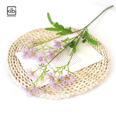 CÀNH HOA CÚC HỌA MI HÀ LAN
