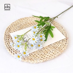CÀNH HOA CÚC HỌA MI HÀ LAN