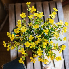 BÓ HOA MAI LỤA