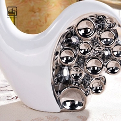BỘ ỐC SÊN TRẮNG BẠC