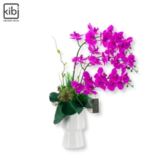 BÌNH LAN HỒ ĐIỆP PHÚ QUÝ 01