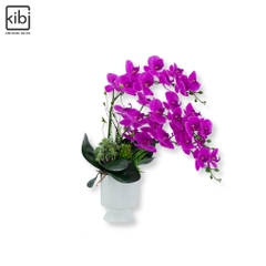 BÌNH LAN HỒ ĐIỆP PHÚ QUÝ 03