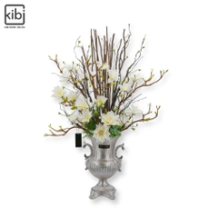 MỘC LAN TRẮNG - KALMIA