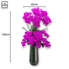 LAN HỒ ĐIỆP TÍM - ORCHID SENSE