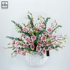 MỘC LAN HỒNG - KALMIA