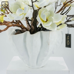 MỘC LAN TRẮNG - BRIGHT