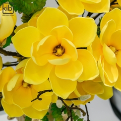 BÌNH MỘC LAN AN NHIÊN