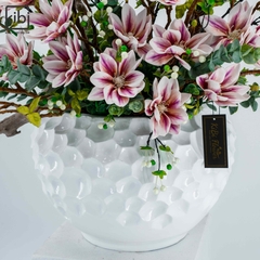 MỘC LAN HỒNG - KALMIA