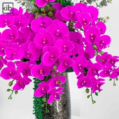 LAN HỒ ĐIỆP TÍM - ORCHID SENSE