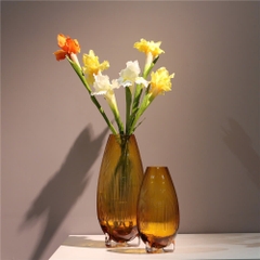 BÌNH THỦY TINH CLARO 02