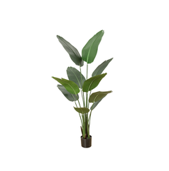 CÂY CHUỐI GIẢ TRANG TRÍ 1M80