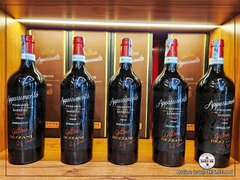 Rượu Vang Ý Appassimento Gattone Dezzani Barbera Piemonte