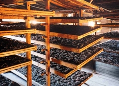Rượu Vang Ý Appassimento Gattone Dezzani Barbera Piemonte