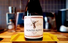 Rượu Vang Montes Alpha Syrah 2022