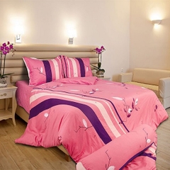 Chăn đông Sông Hồng Cotton CT