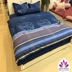 Chăn đông Sông Hồng Cotton CT