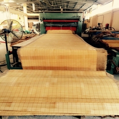 Chiếu tăm cây H&T