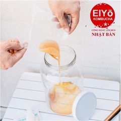 SCOBY ORGANIC LÀM TRÀ KOMBUCHA ( Được chuẩn hóa tại Viện Vi Sinh và Nuôi Theo Công NGhệ NHẬT BẢN tại BA VÌ)