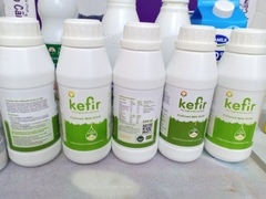 SỮA CHUA KEFIR UỐNG NGUYÊN CHẤT 500ML – THE KEFIR KING.