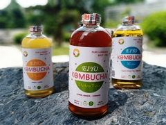 Trà EIYO KOMBUCHA DETOX TEA - Thanh lọc cơ thể, giảm cân, được lên men thủ công Truyền thống tại Núi Ba Vì.