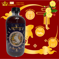 KOMBUCHA DƯỠNG NHAN – ĐẸP DA, AN THẦN