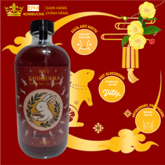 KOMBUCHA DƯỠNG TÂM – AN NHIÊN TỪNG NGỤM TRÀ