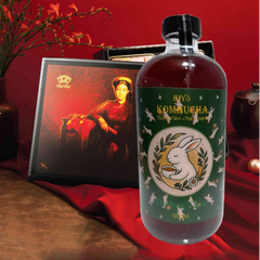 KOMBUCHA DƯỠNG THÂN – TRẺ KHỎE, NĂNG LƯỢNG