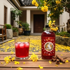 KOMBUCHA DƯỠNG TÂM – AN NHIÊN TỪNG NGỤM TRÀ