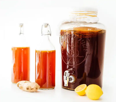 SCOBY ORGANIC LÀM TRÀ KOMBUCHA ( Được chuẩn hóa tại Viện Vi Sinh và Nuôi Theo Công NGhệ NHẬT BẢN tại BA VÌ)