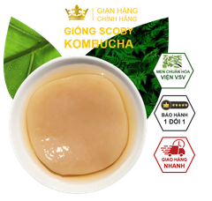 Combo SCOBY ORGANIC 5 MÓN cho người mới làm trà Kombucha ( Giống SCOBY + Nước Mồi + Trà Xanh + Đường Mía + Giấy PH).