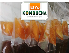 Giống SCOBY ORGANIC Làm Trà Kombucha ( Sản phẩm của EIYO TEA - Nuôi cấy theo công nghệ Nhật Bản ).