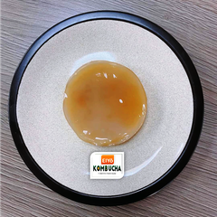 Giống SCOBY ORGANIC Làm Trà Kombucha ( Sản phẩm của EIYO TEA - Nuôi cấy theo công nghệ Nhật Bản ).