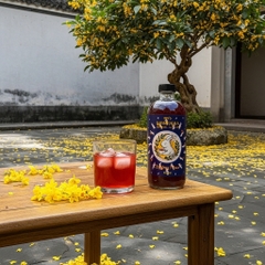 KOMBUCHA DƯỠNG NHAN – ĐẸP DA, AN THẦN
