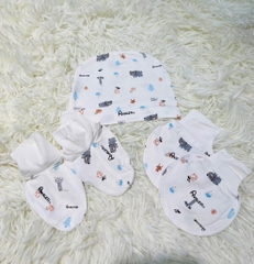 Avaler - BTBC - Gấu thỏ
