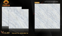 Gạch Vân Đá Tự Nhiên 60x60 60F08