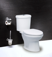 Bàn Cầu Hai Khối (Nắp Êm) - CT1338( CTS1338)