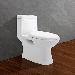 Bồn cầu một khối VIGLACERA C109