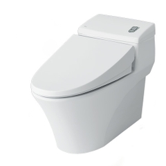 Bồn cầu một khối INAX AC-1008VRN