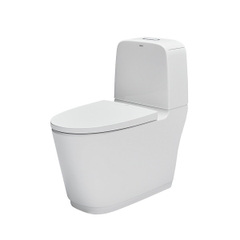 Bồn cầu hai khối INAX AC-832VN