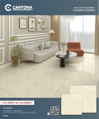 Gạch Vân Đá CA6601