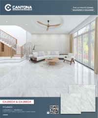 Gạch Vân Đá CA6604