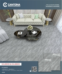 Gạch Vân Đá CA6605