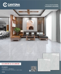 Gạch Vân Đá CA6606