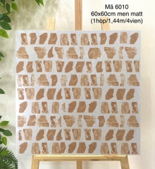 Gạch Vân TERAZO 60x60 ĐS6010