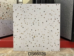 Gạch Vân Terrazzo 60x60 ĐS67026