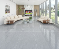 Gạch Vân Đá MT6602