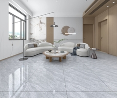 Gạch Vân Đá MT6603